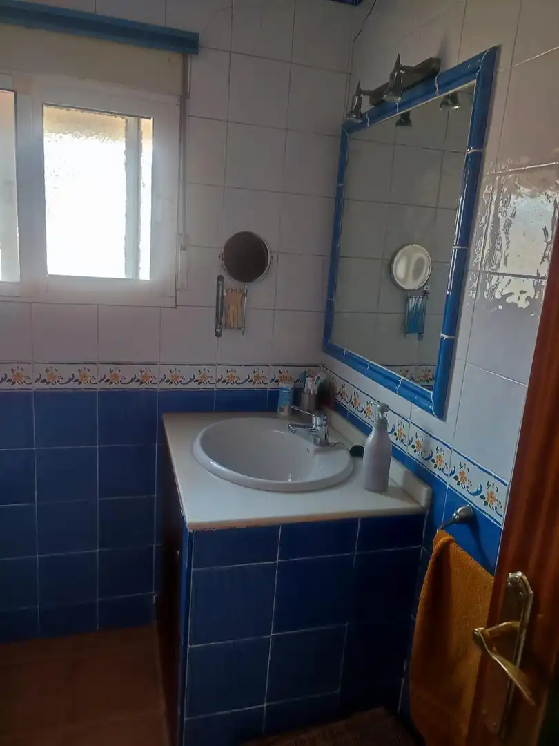 Chalet con piscina en venta en La Carlota, imagen 20
