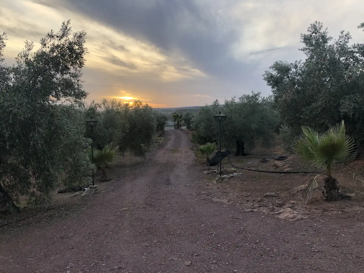 Rustikales Grundstück zum Verkauf in Montoro, imagen 2