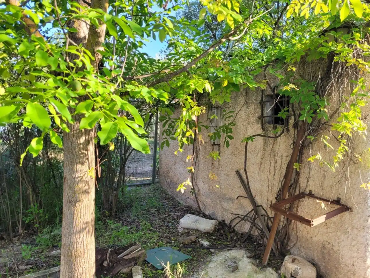 Chalet con piscina en venta en Baza, imagen 22