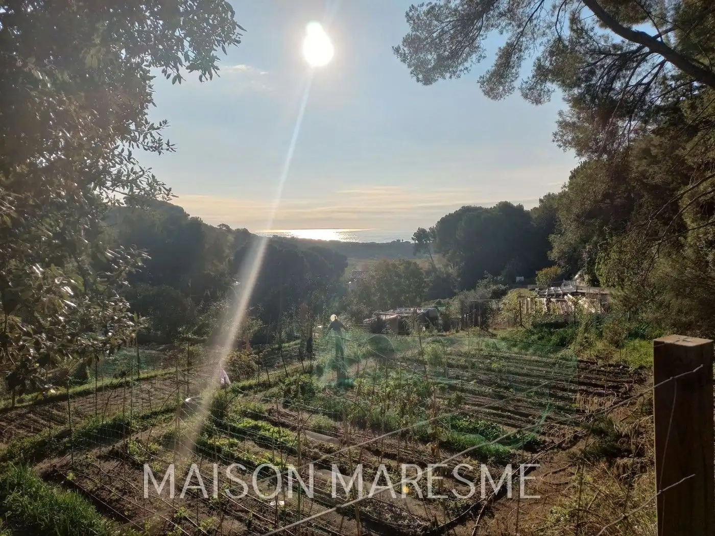 Garden of Residential for sale in Sant Pol de Mar