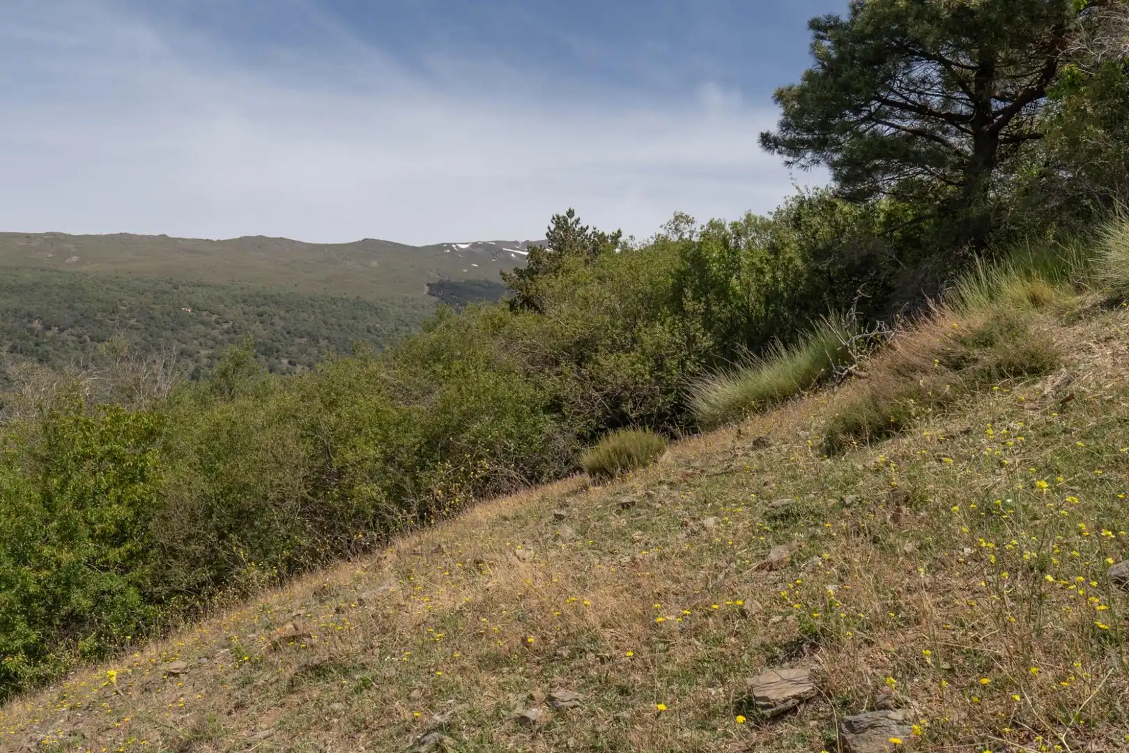 Terreno en venta en Soportújar