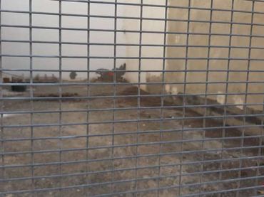 Terreny residencial en venda a San Luis