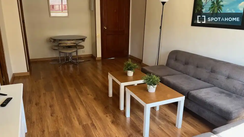 Sala d'estar de Pis de lloguer en Madrid amb Aire condicionat, Calefacció i Moblat