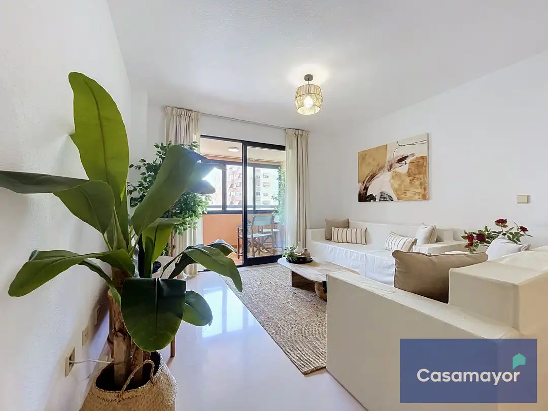 Sala d'estar de Pis en venda en Alicante / Alacant amb Jardí privat, Terrassa i Traster