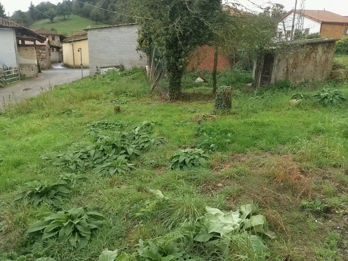 Maison rustique avec jardin à vendre à N/A, imagen 36