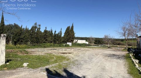 Foto 4 de Finca rústica en venda a Pilas, Sevilla