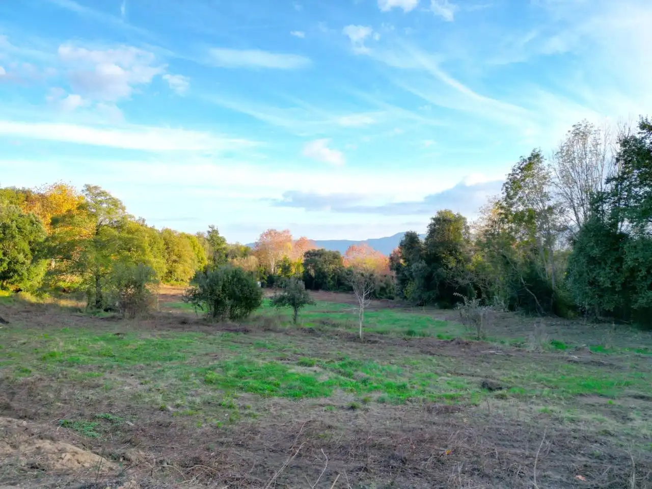 Terreno en venta en Calle GIV-521, 3, Riells i Viabrea