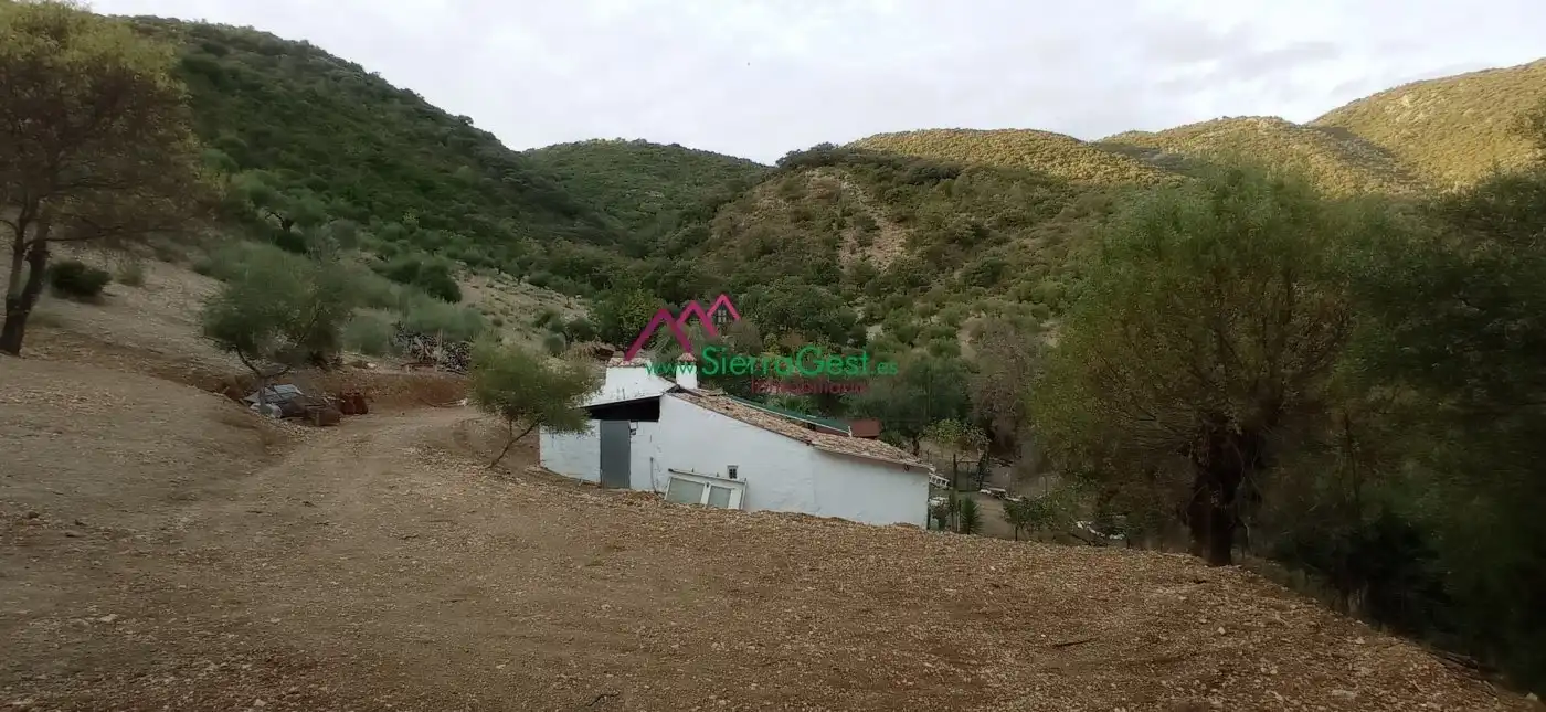 Terreni e lotti in vendita a Benaocaz, imagen 52