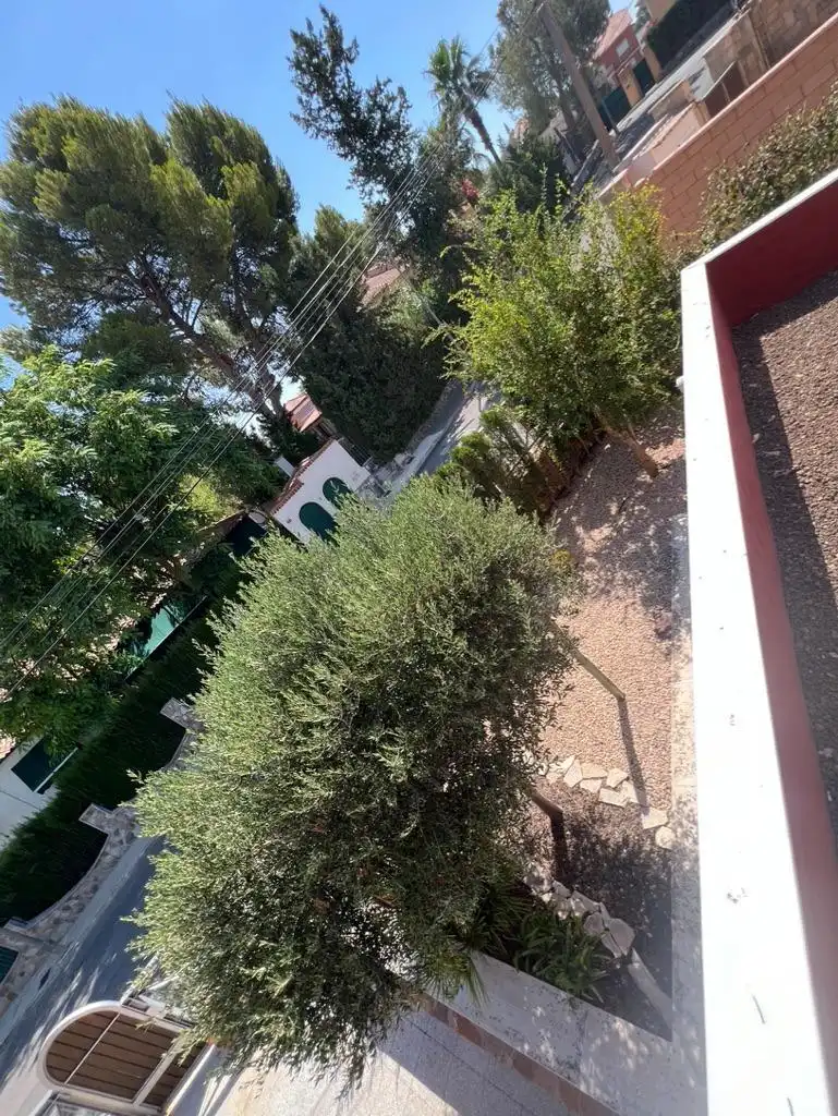 Jardí de Casa o xalet en venda en Las Torres de Cotillas amb Aire condicionat, Calefacció i Parquet
