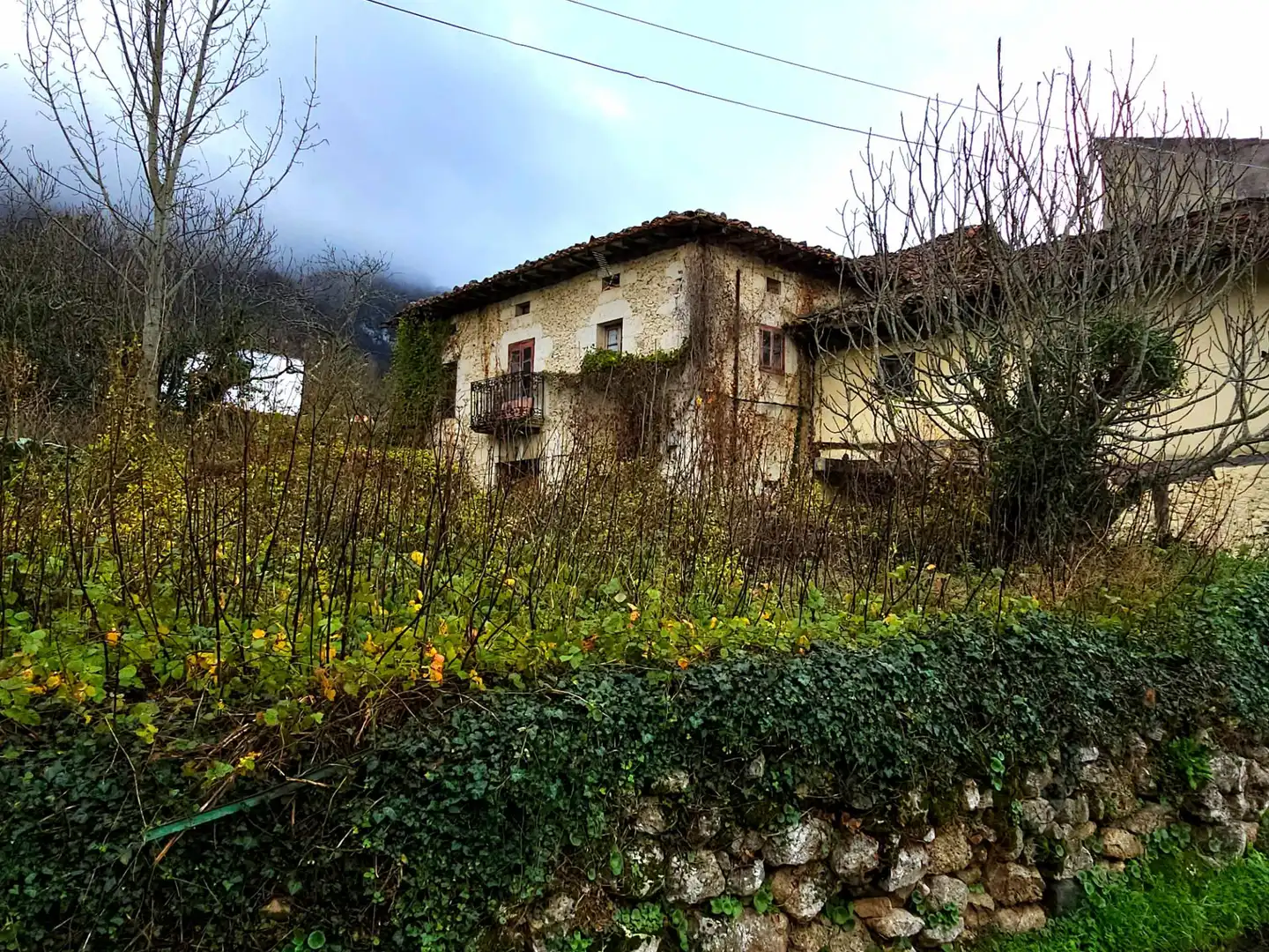 Vista exterior de Casa o chalet en venta en Valle de Mena