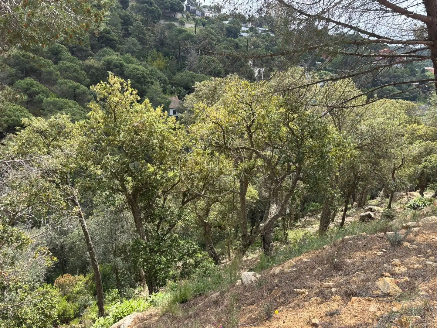 Terrenos y solares en venta en Canyelles, imagen 2