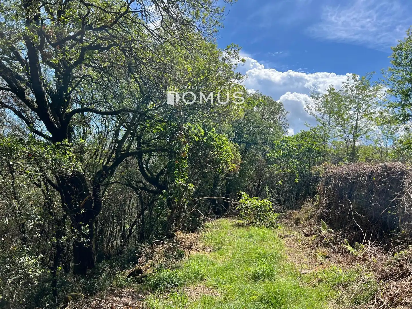 Finca rústica en venta en Sant Joan Les Fonts