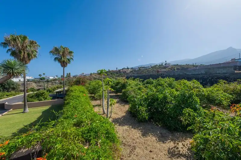 Vista exterior de Casa o chalet en venta en Arafo con Aire acondicionado, Jardín privado y Piscina