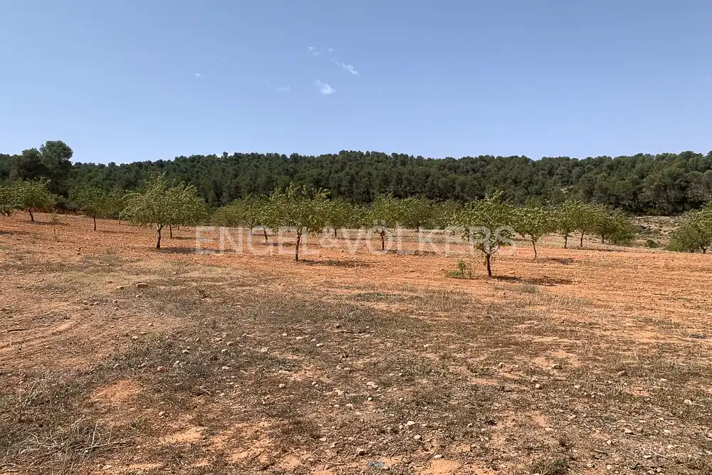 Lands and plots for sale in Requena, imagen 33