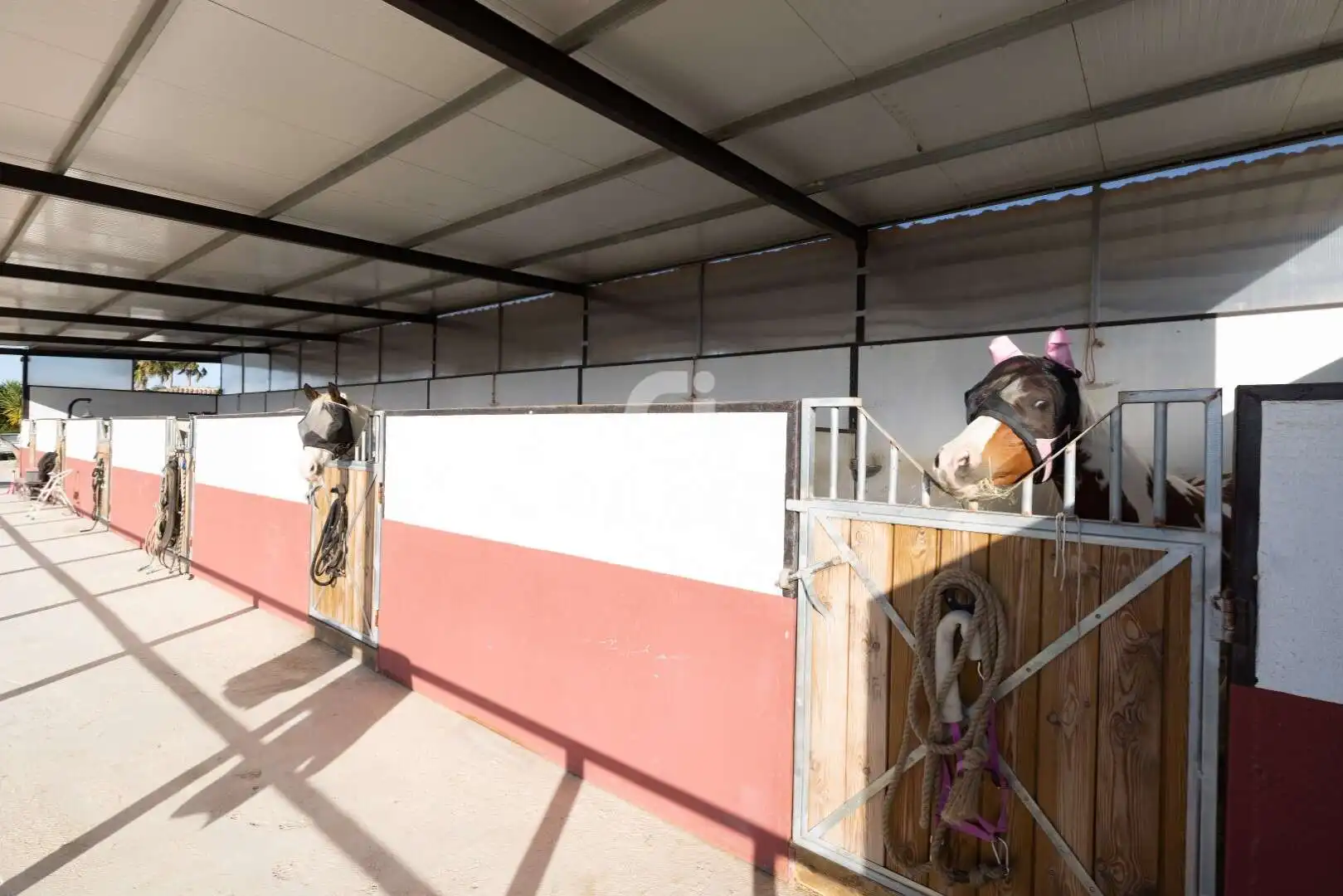 Chalet con jardín en venta en Arcos de la Frontera, imagen 38