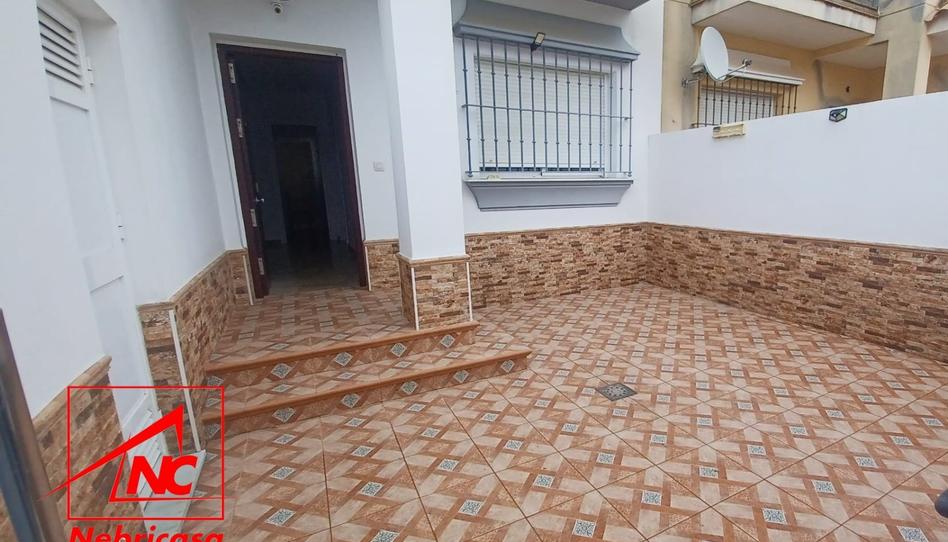 Foto 1 de Casa o xalet de lloguer a El Cuervo de Sevilla, Sevilla