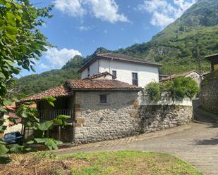 Vista exterior de Casa o xalet en venda en Amieva