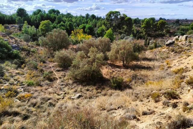 Terreno en Venta en Fajuelas en Caspe