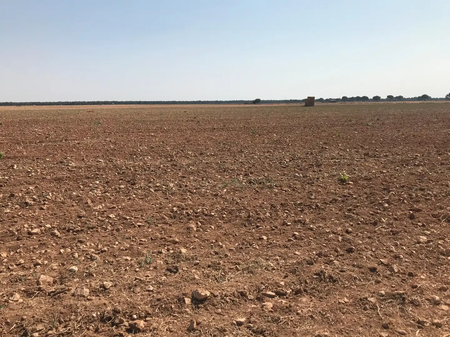 Terreni e lotti in vendita a Las Mesas, imagen 19