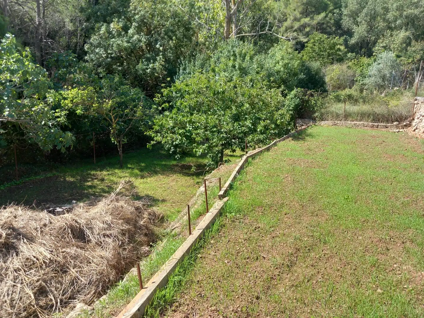 House with pool for sale in Torrelles de Foix, imagen 56