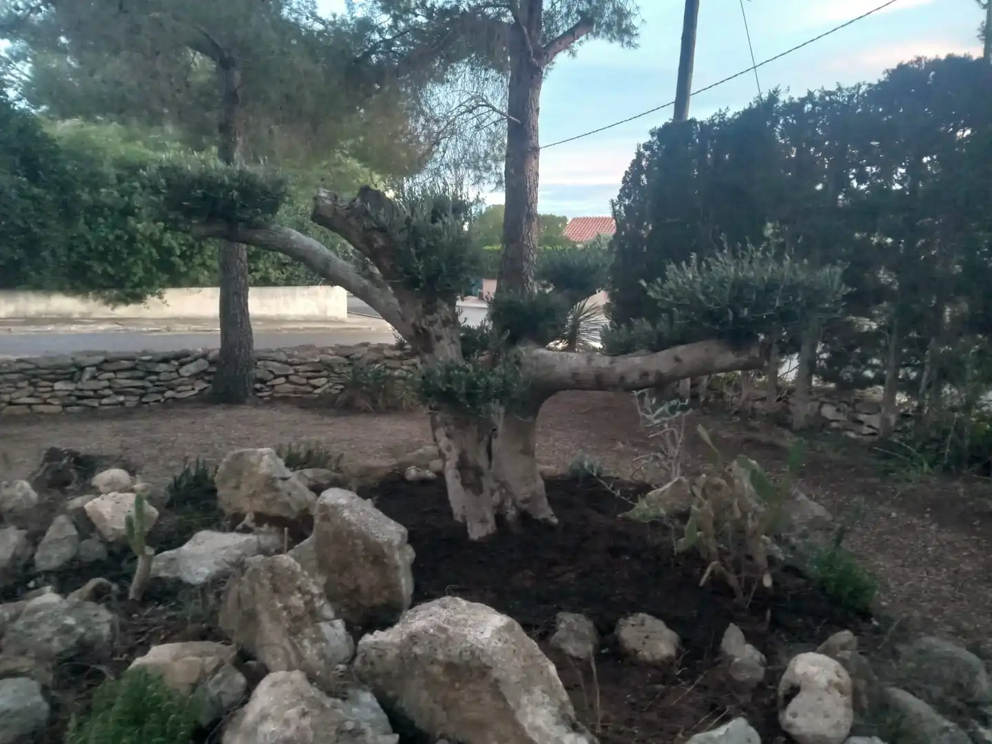 Jardín de Casa o chalet en venta en L'Ametlla de Mar  con Calefacción, Jardín privado y Terraza