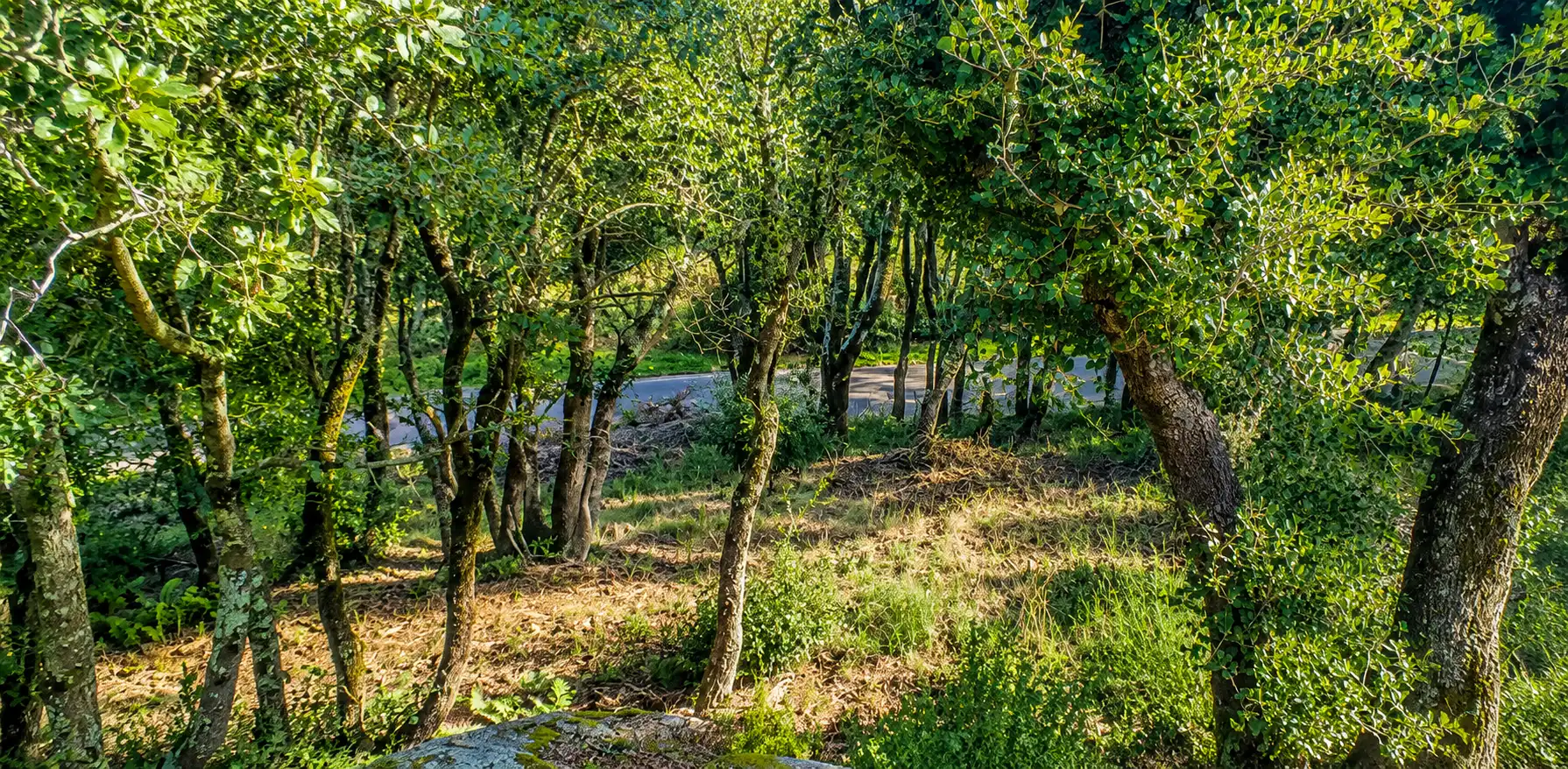 Grundstücke und Bauplätze zum Verkauf in La Vajol, imagen 5