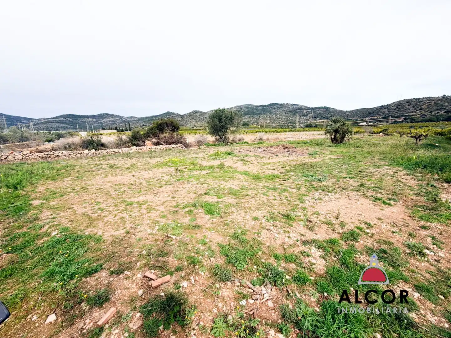 Country house for sale in Alcanar, imagen 16
