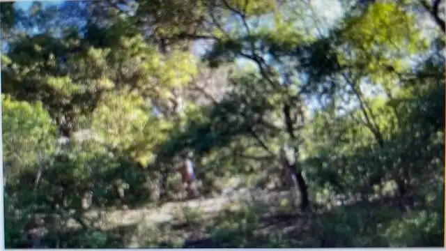 Rural land for sale in Arenys de Munt, imagen 3