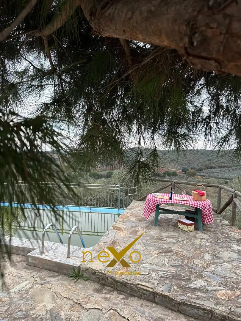 Jardí de Finca rústica en venda en Las Navas de la Concepción amb Jardí privat, Piscina i Moblat