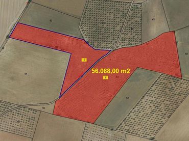 Rural land for sale in 62