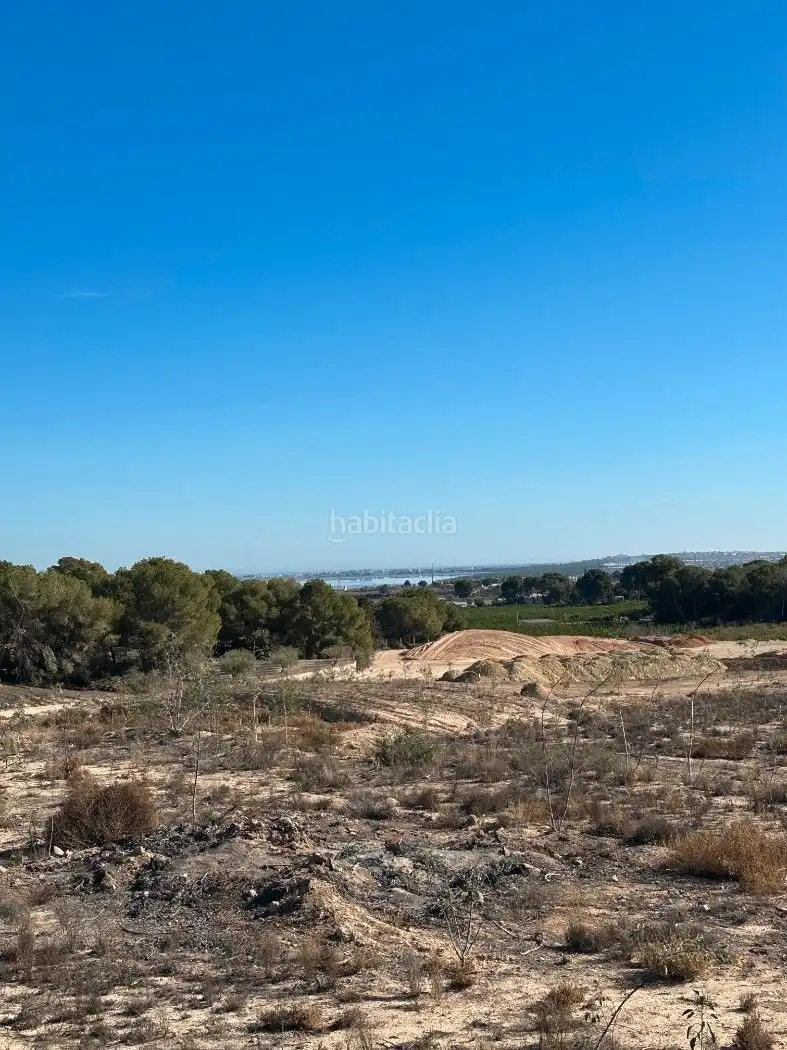 Terrain rustique à vendre à Camino de Catral 31, imagen 12