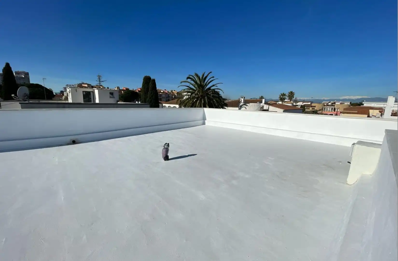 Piso con ascensor en venta en gran reserva, imagen 25