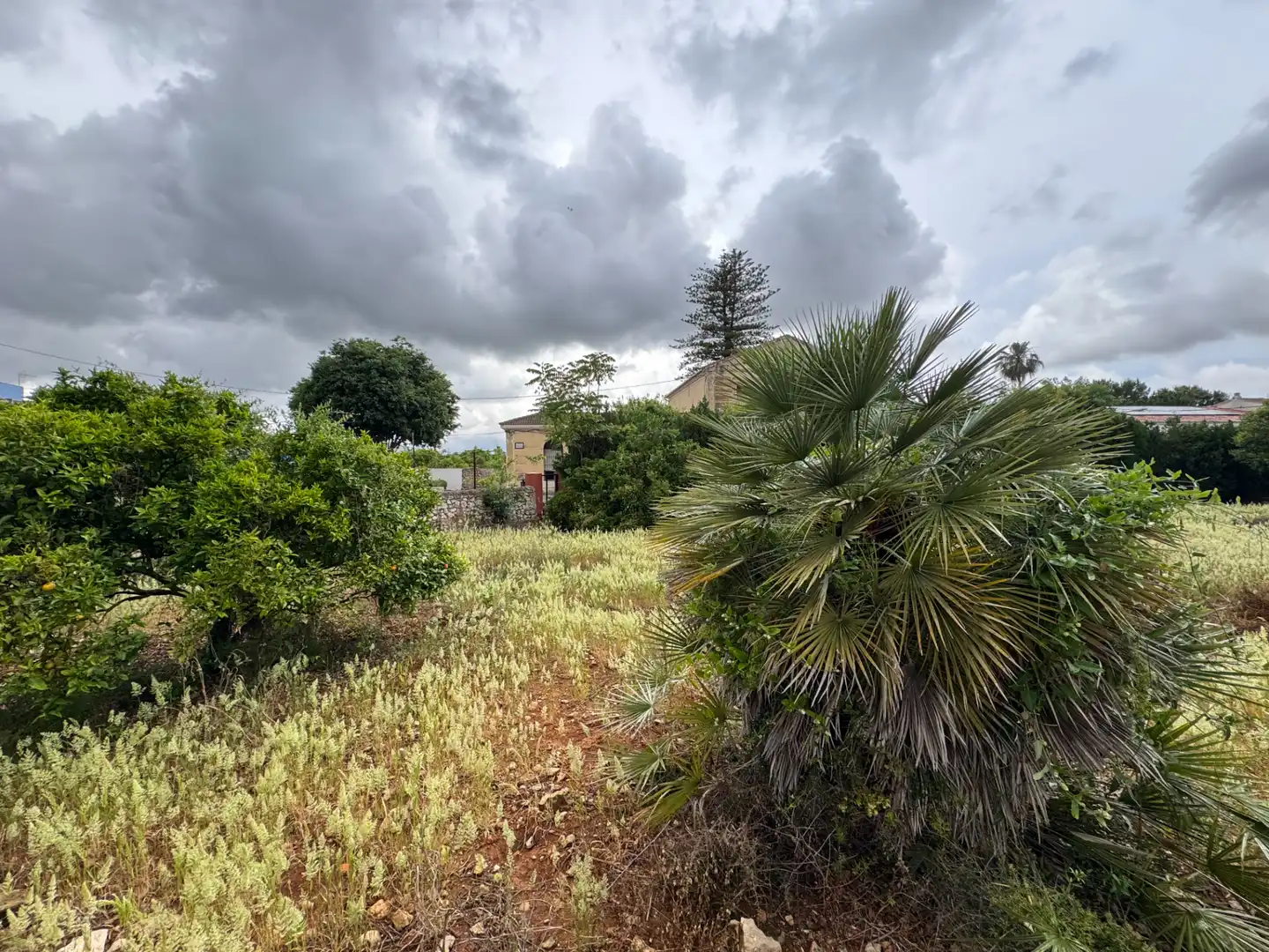 Casa o chalet en venta en Carretera Pedreguer-Benidoleig, Pedreguer