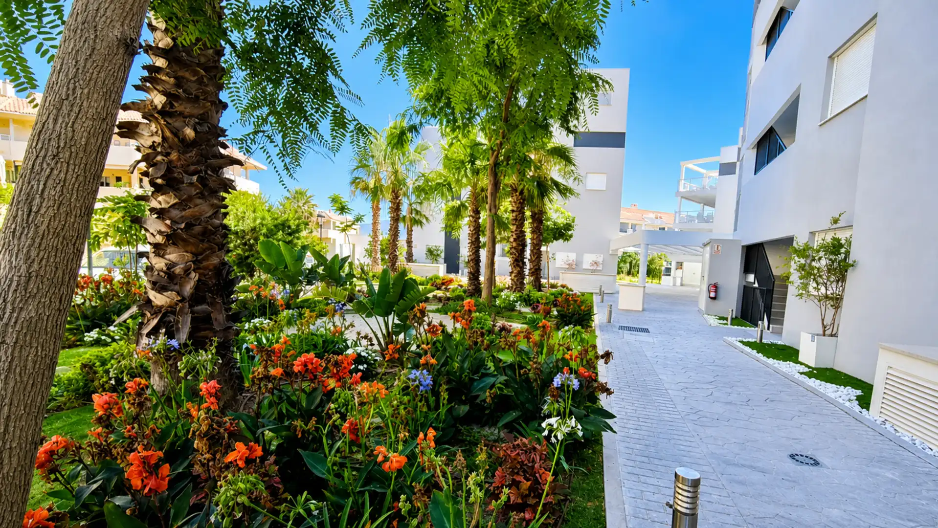 Mini appartamento con piscina in vendita a LOMA BLANCA 3, imagen 54