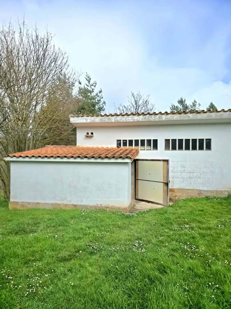 Vista exterior de Casa o xalet en venda en Pomar de Valdivia amb Calefacció, Jardí privat i Terrassa