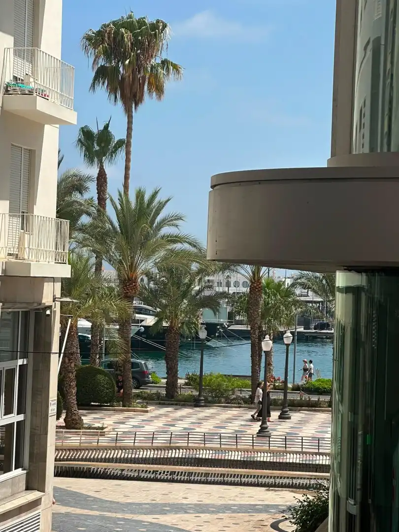 Vista exterior de Apartament de lloguer en Alicante / Alacant amb Aire condicionat