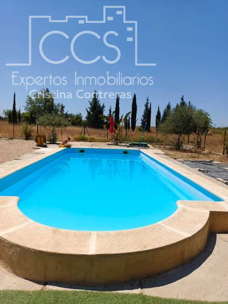 Piscina de Finca rústica en venta en Rociana del Condado con Jardín privado, Piscina y Amueblado