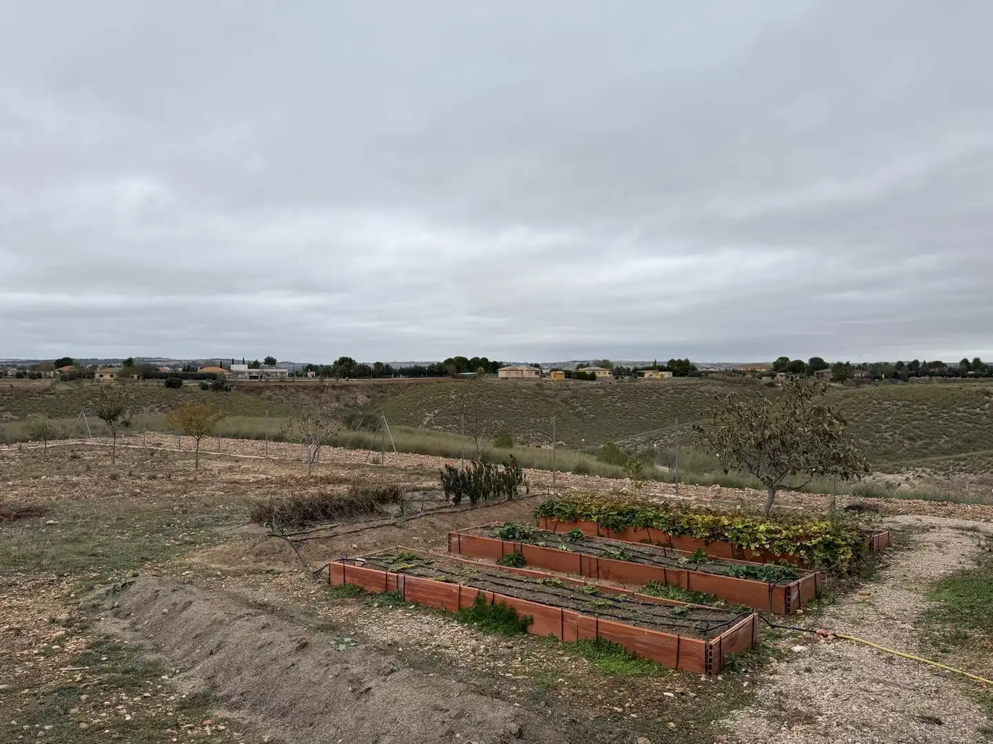 Terreny residencial en venda a Illana, imagen 11