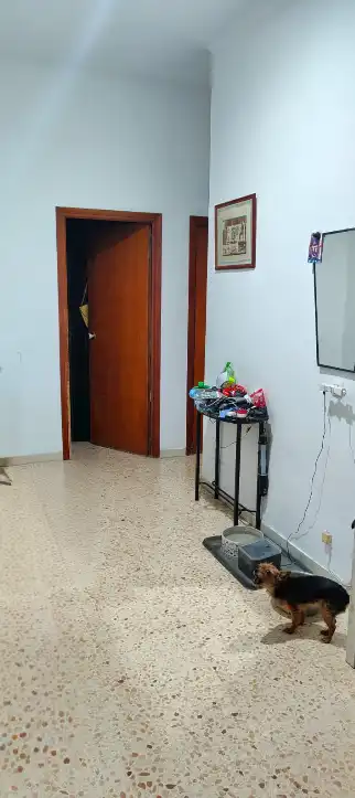 Piso en venta en Canals con Terraza