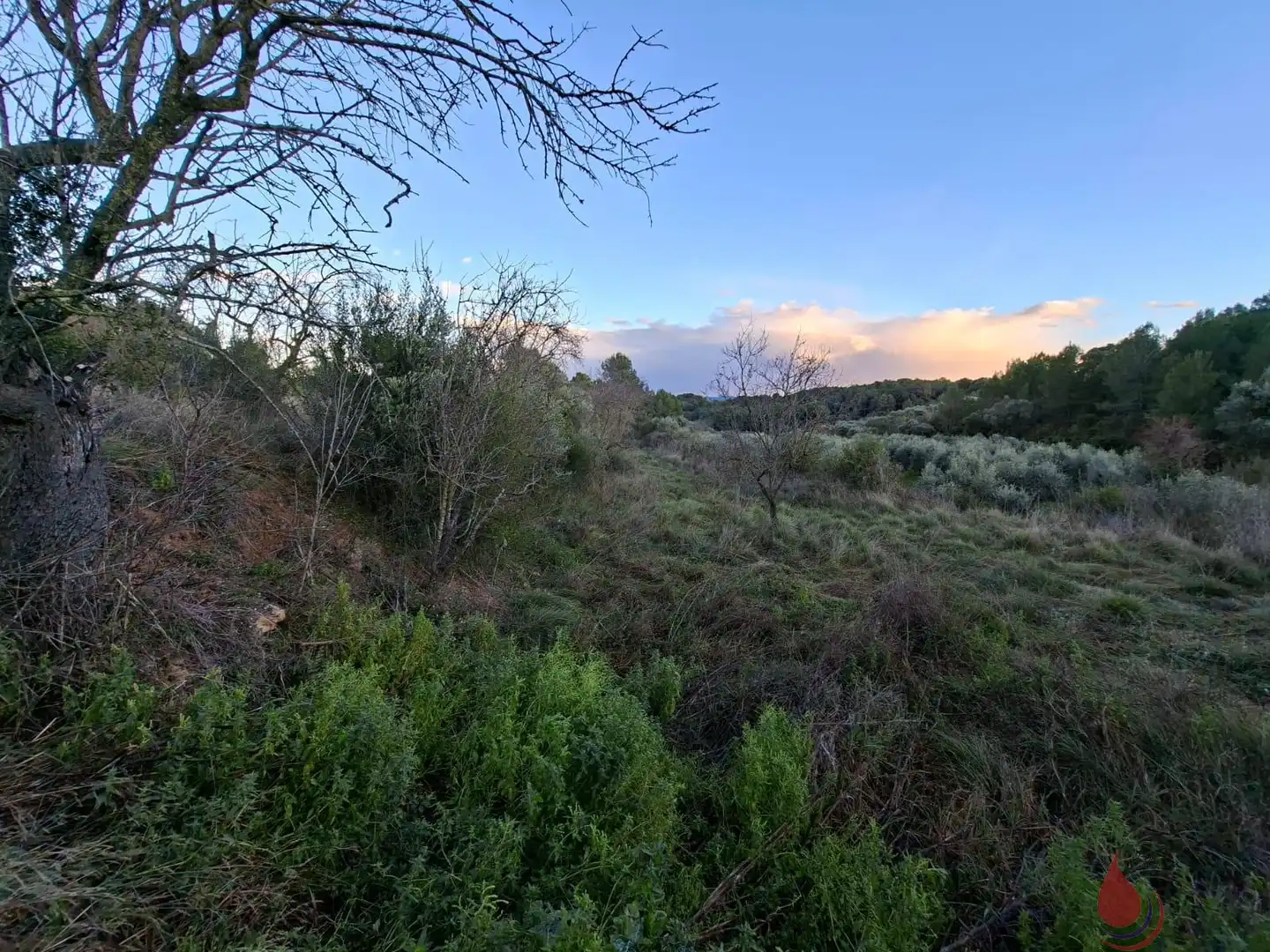Terreni e lotti in vendita a Sant Quintí de Mediona, imagen 2