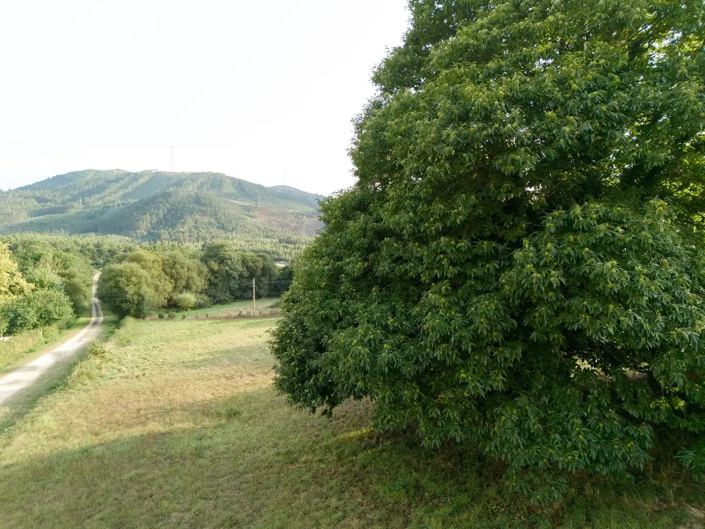 Casa o chalet en venta en Alfoz con Trastero