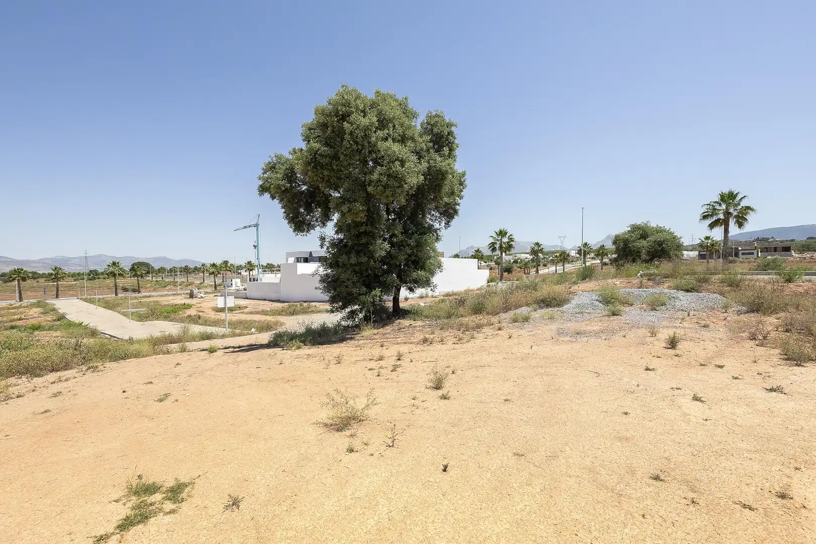 Terreno residenziale in vendita a Sagrario Martinez Carrera, imagen 8