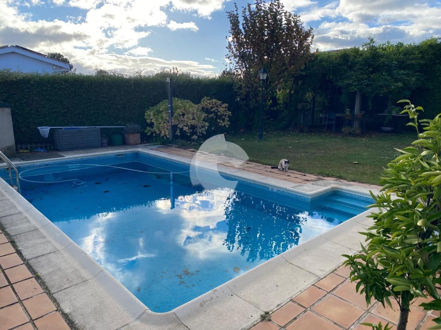 Swimming pool of House or chalet for sale in O Pereiro de Aguiar   with Private garden