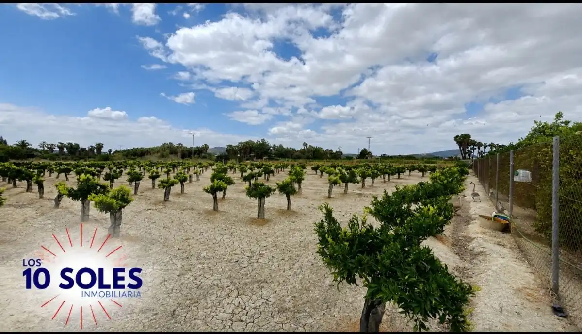 Terreno rústico en venta en Jacarilla, imagen 7