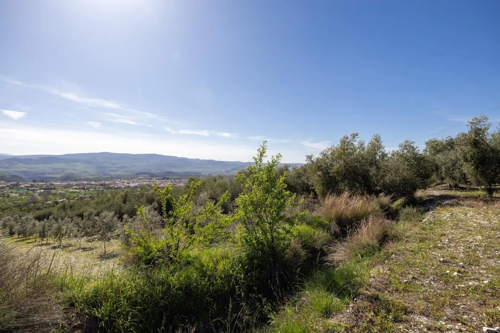 Terreni e lotti in vendita a Dúrcal, imagen 28