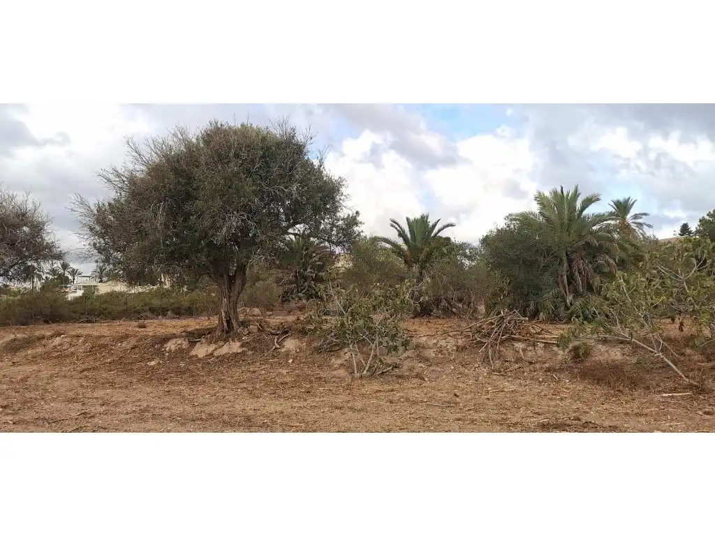 Terreno residencial en venta en La Marina, imagen 2