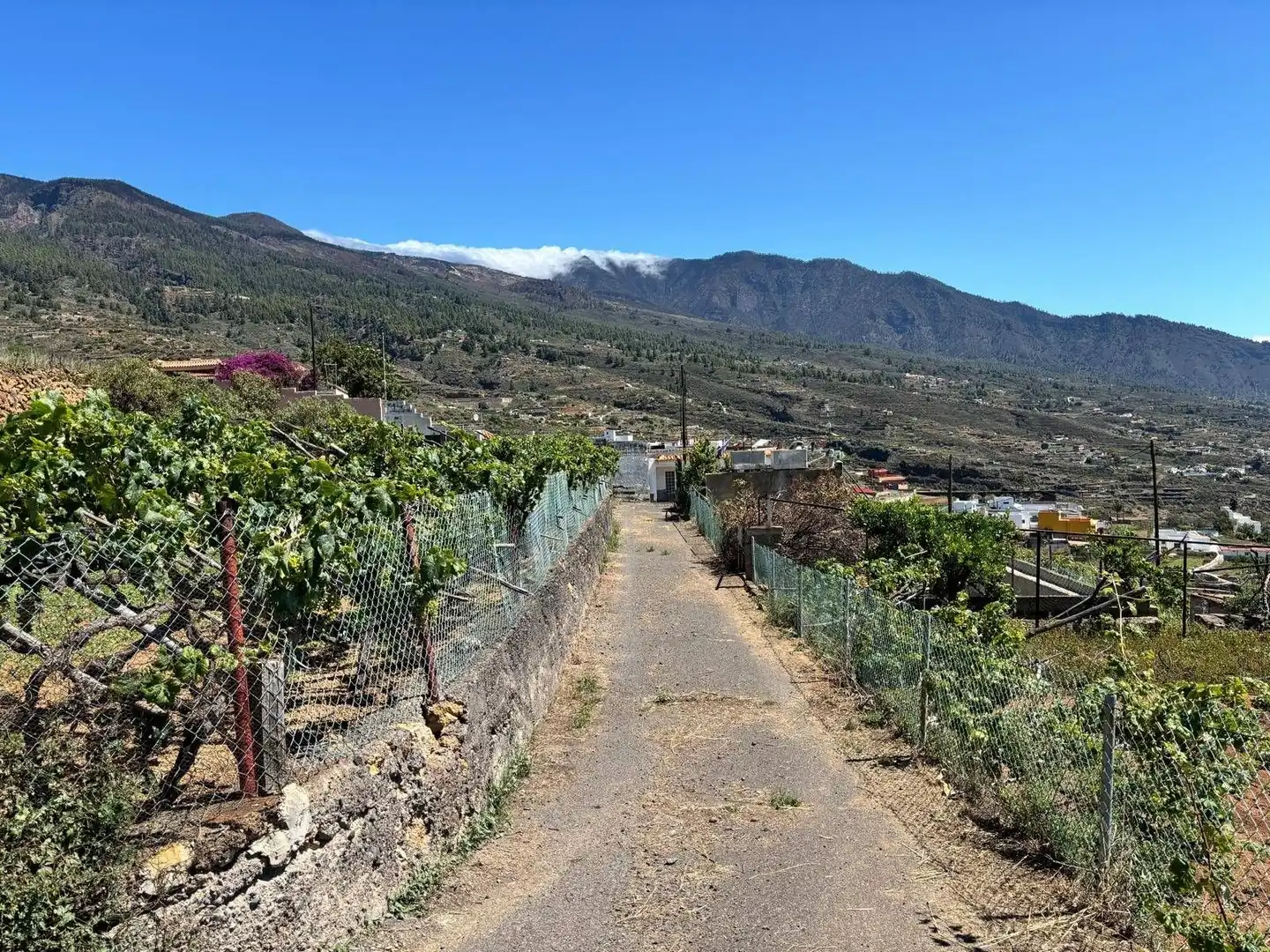 Rustikales Grundstück zum Verkauf in Polígono 1 Parcela 509 LAS CUESTAS. ARAFO (S.C. T 1, imagen 21