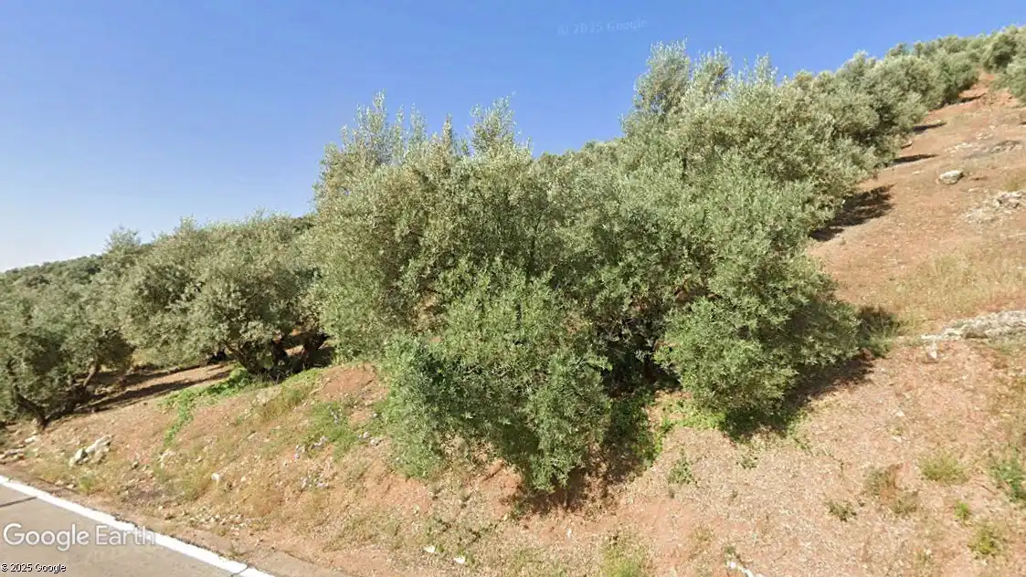 Terreni e lotti in vendita a Santisteban del Puerto, imagen 4
