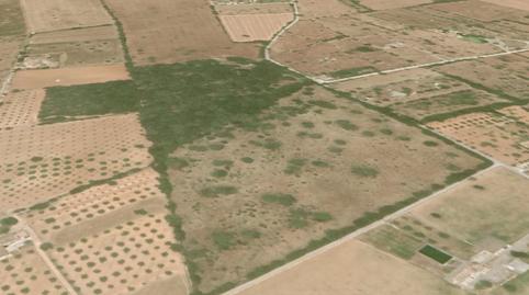 Photo 5 of Land for sale in Zona Periurbana, Illes Balears