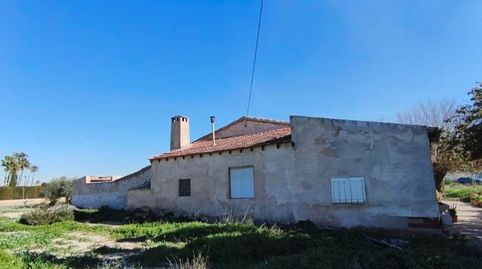Foto 5 de Finca rústica en venda a La Algoda - Matola - Llano de San José, Elche / Elx